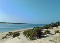 Aak Raises Alarm As Lamu Shela Dunes Face Encroachment
