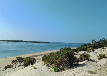 Aak Raises Alarm As Lamu Shela Dunes Face Encroachment