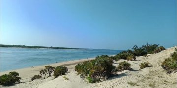 Aak Raises Alarm As Lamu Shela Dunes Face Encroachment
