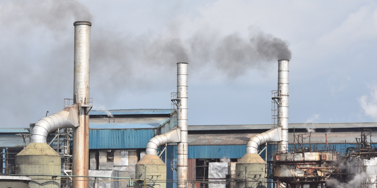 Govt Rolls Out Weekly Payments As Sugar Mills Are Privatized