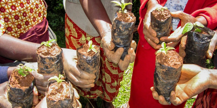 Complete Guide On How To Apply For A Biodiversity Conservation Permit From Nema How To Apply For A Biodiversity Conservation Permit