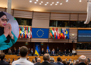 European Parliament Votes To Block Funding To Tanzania And Consider Sanctions European Parliament Votes To Block Funding To Tanzania And Consider Sanctions