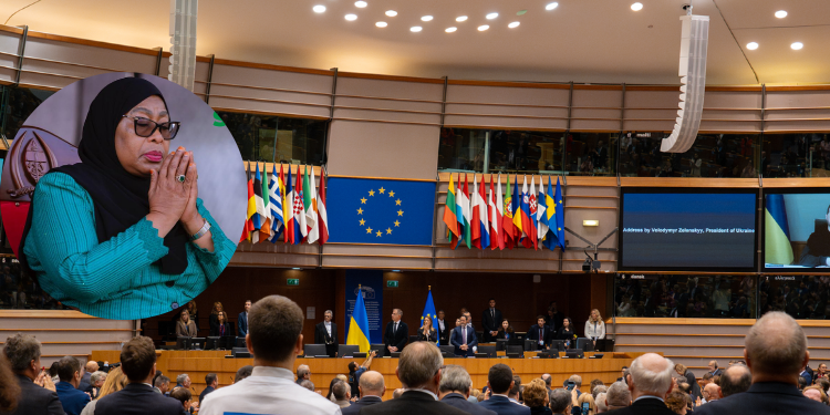 European Parliament Votes To Block Funding To Tanzania And Consider Sanctions European Parliament Votes To Block Funding To Tanzania And Consider Sanctions