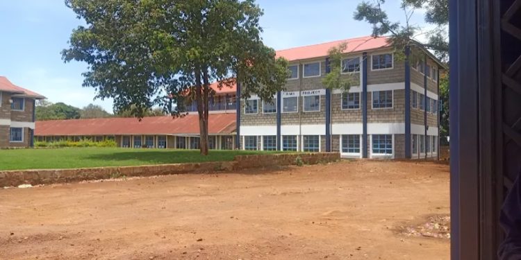 St. Mary'S Girls High School Igoji History, Fees, Kcse Performance And Contacts