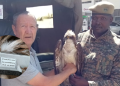 Migratory Bird With Russian Identification Tag Captured In Kenya Migratory Bird With Russian Identification Tag Captured In Kenya