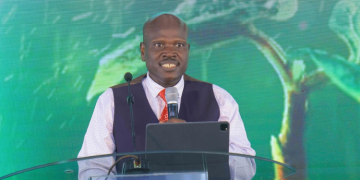 Kenya Power Announces Attachments For Degree, Diploma, And Certificate Holders Kenya Power Opens Attachment Slots For Degree, Diploma, And Certificate Students, How To Apply