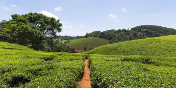 How Cooperative Societies In Kenya Can Apply For Land Registration