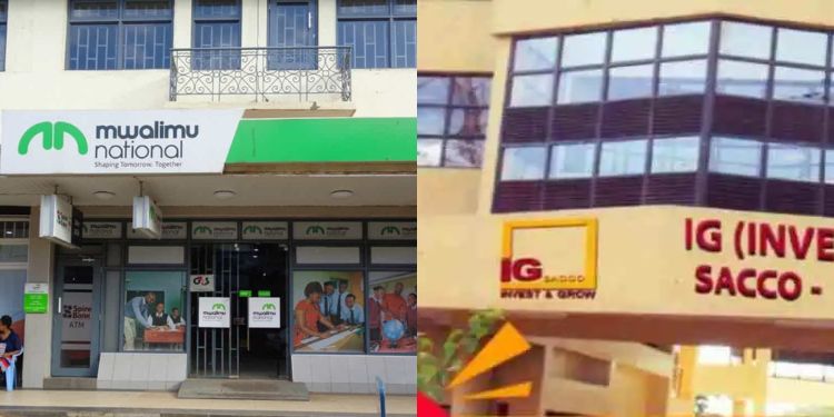 Step By Step Guide To Legally Withdraw Membership From A Sacco In Kenya How To Withdraw Membership From A Sacco