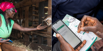 Microsoft Launches Farmer-Focused Ai That Understands Swahili, Kikuyu, Dholuo And More