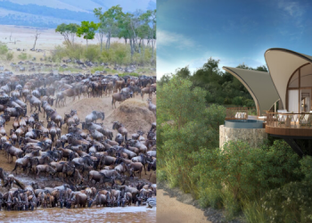 Photo Collage Of Wildebeest Migration And The Ritz-Carlton Safari Camp. Photo/Africa Safaris/Ritz-Carlton