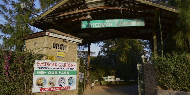 Kws Issues Statement On Viral Lion At Stedmak Gardens After Abuse Allegations