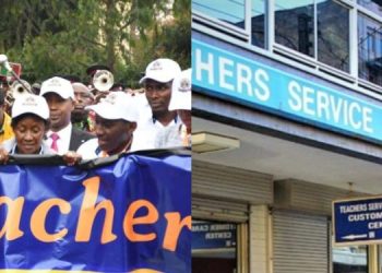 Guide on How Teachers Can File Complaints and Queries to TSC