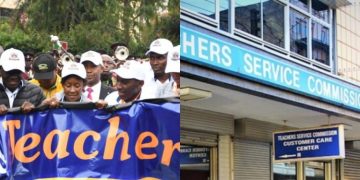 Guide on How Teachers Can File Complaints and Queries to TSC